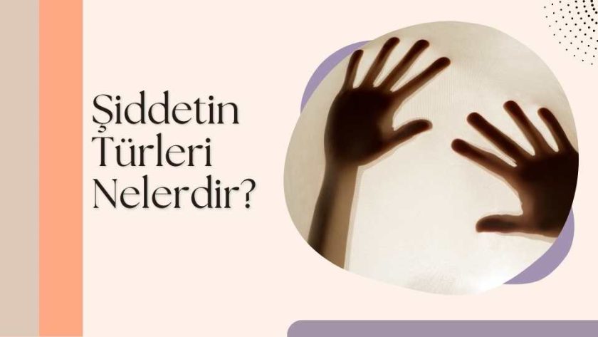 şiddetin türleri nelerdir?