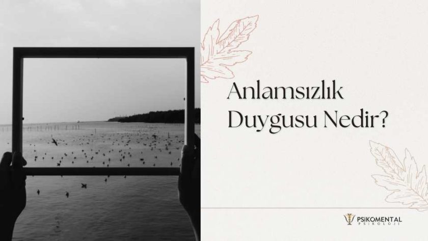 Anlamsızlık Duygusu Nedir?