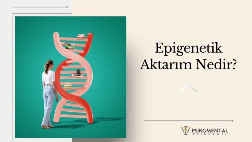 Epigenetik aktarım nedir