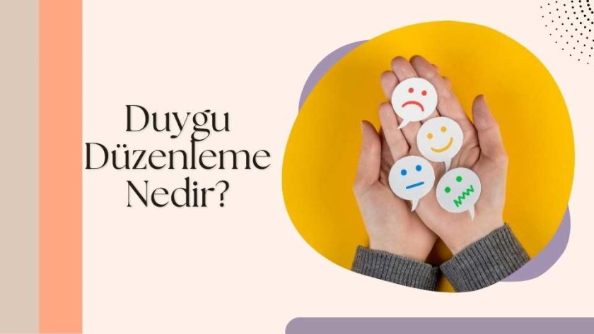 duygu düzenleme nedir