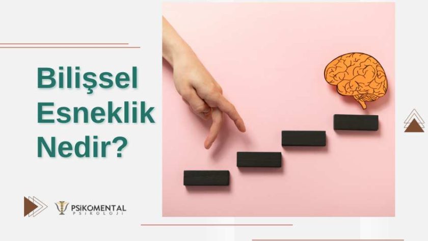 Bilişsel Esneklik Nedir