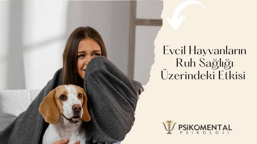 Evcil Hayvanların Ruh Sağlığı Üzerindeki Etkisi