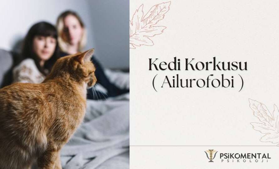 Kedi Korkusu