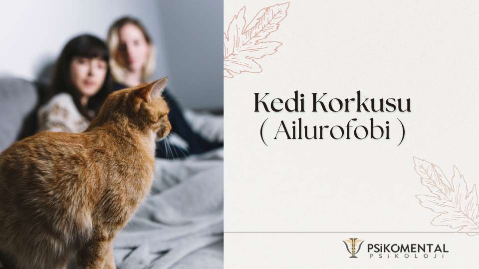 Kedi Korkusu
