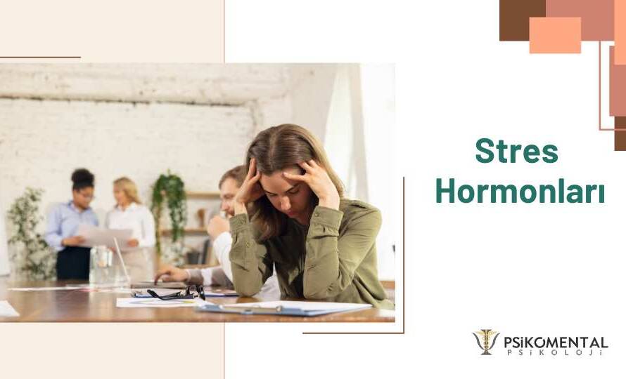 Stres Hormonları