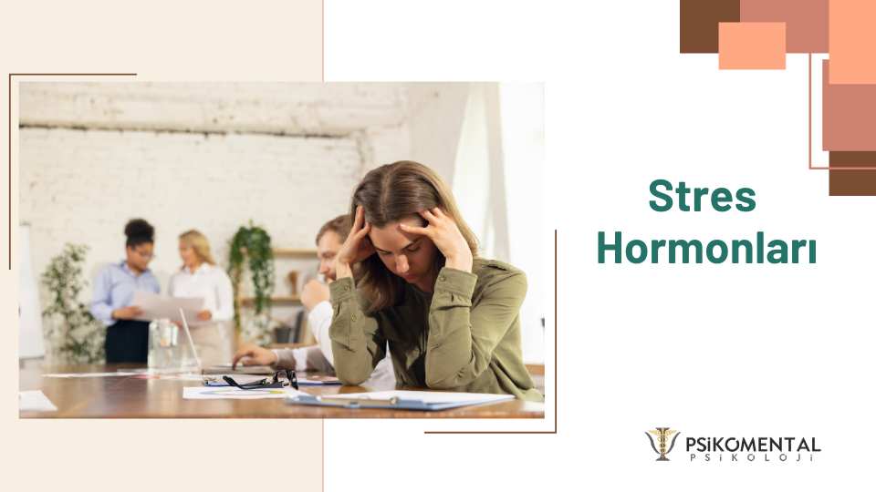 Stres Hormonları