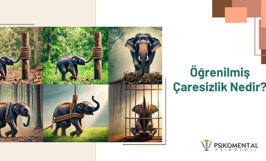 Öğrenilmiş Çaresizlik Nedir?