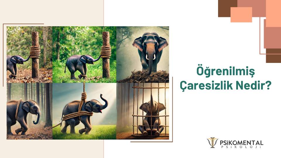 Öğrenilmiş Çaresizlik Nedir?