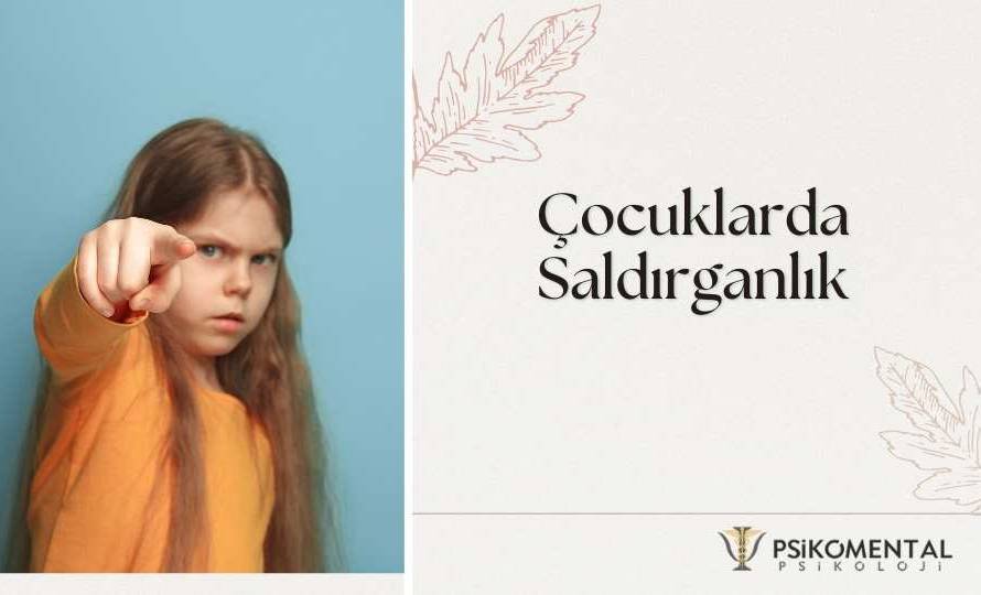 Çocuklarda Saldırganlık
