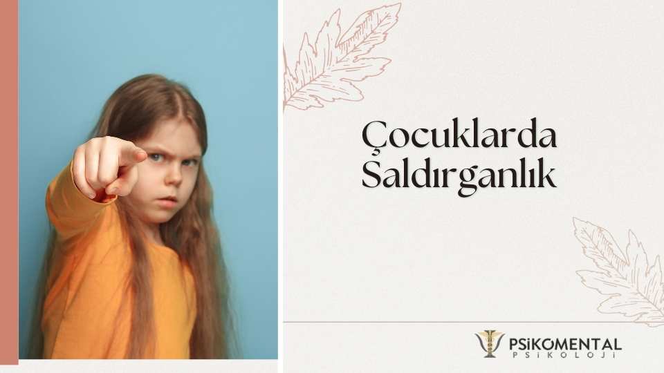 Çocuklarda Saldırganlık