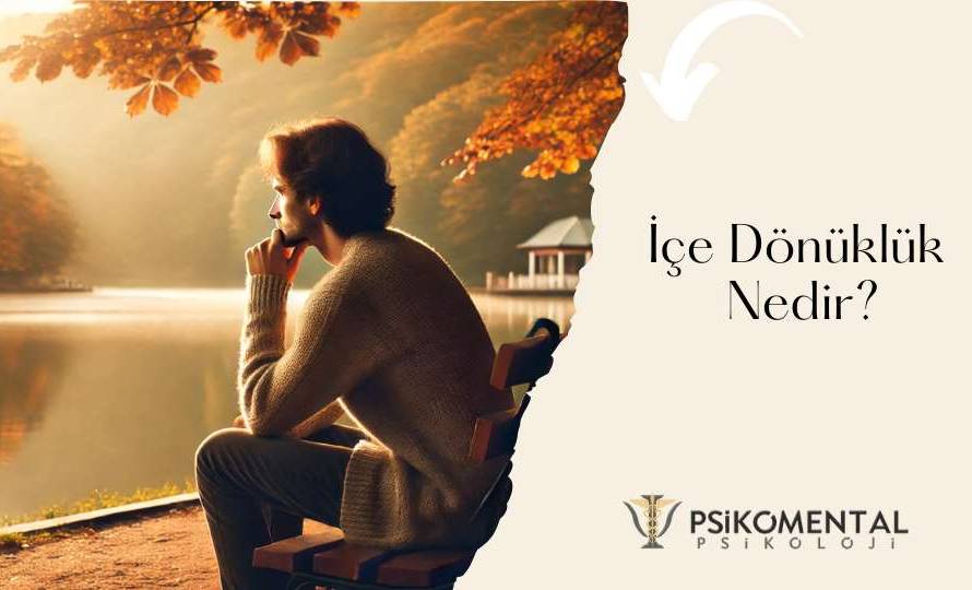 İçe Dönüklük Nedir?