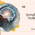 Şemalar Nedir? Bilişsel Kalıplarımızın Psikolojideki Rolü