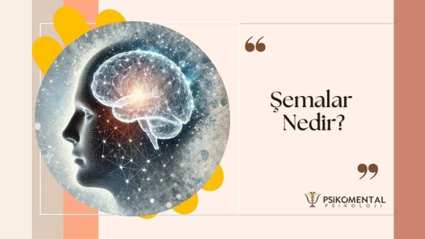 Şemalar Nedir?