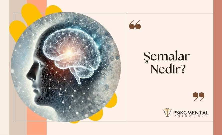 Şemalar Nedir?