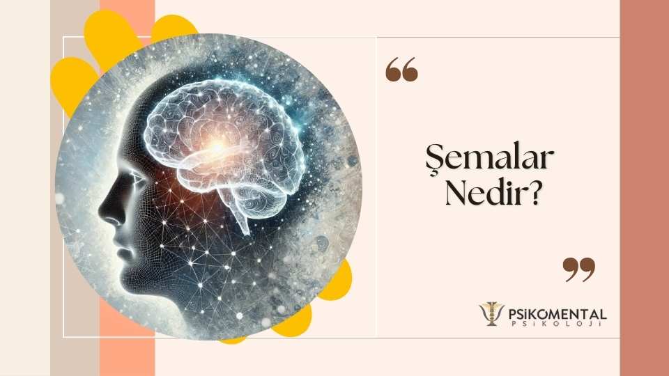 Şemalar Nedir?